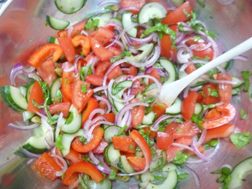 dorade,huile d'olive,ciabatta,tomates,oignon rouge,poivron rouge,câpres,concombre,anchois,basilic,vinaigre de vin rouge