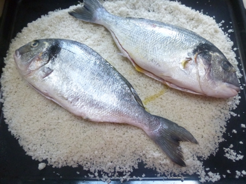 dorade,huile d'olive,ciabatta,tomates,oignon rouge,poivron rouge,câpres,concombre,anchois,basilic,vinaigre de vin rouge