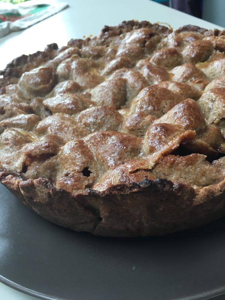 101726127_1106192746416822_4143793569691336704_n