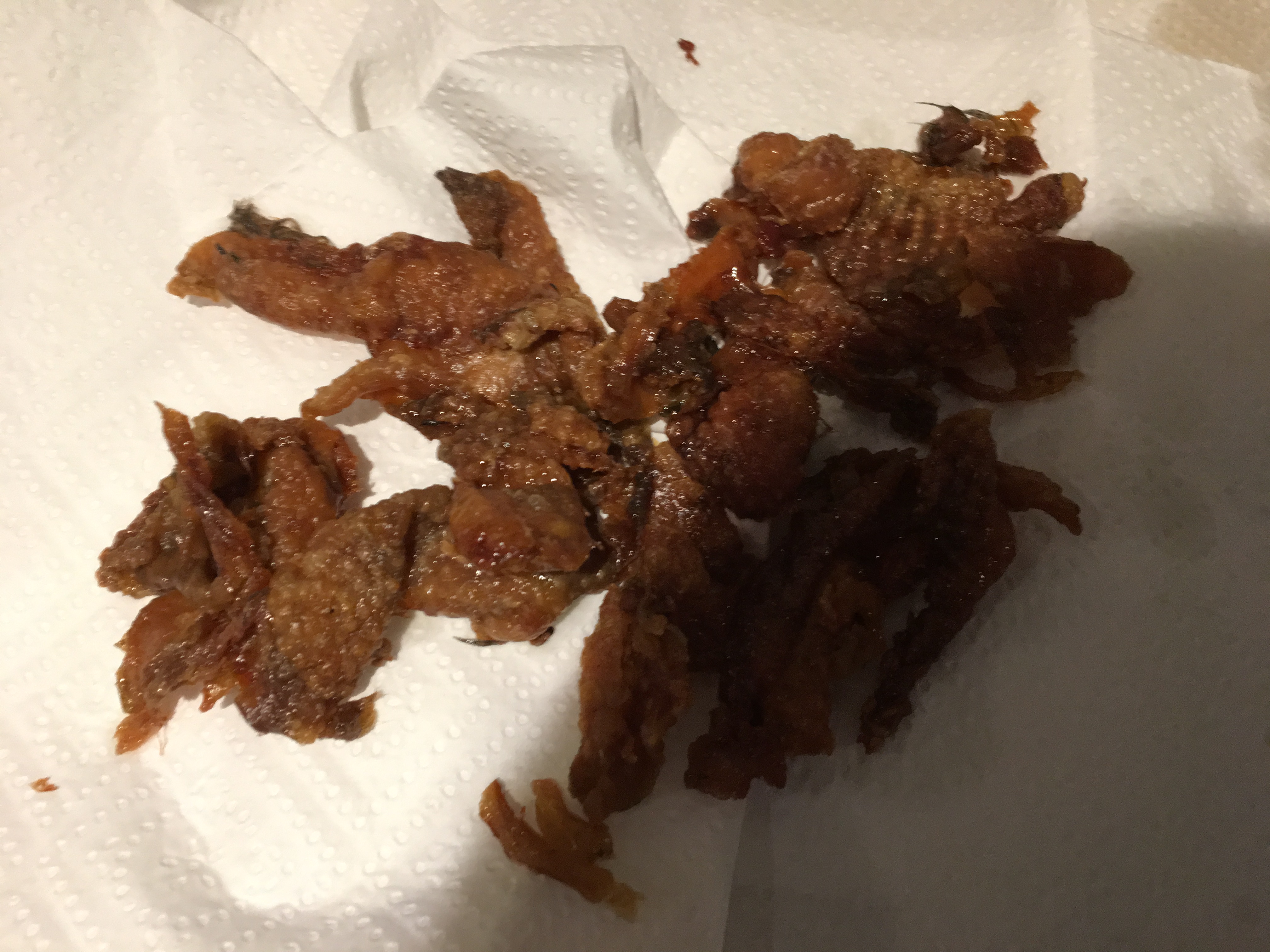 53463528_305505613492781_2013814391618666496_n