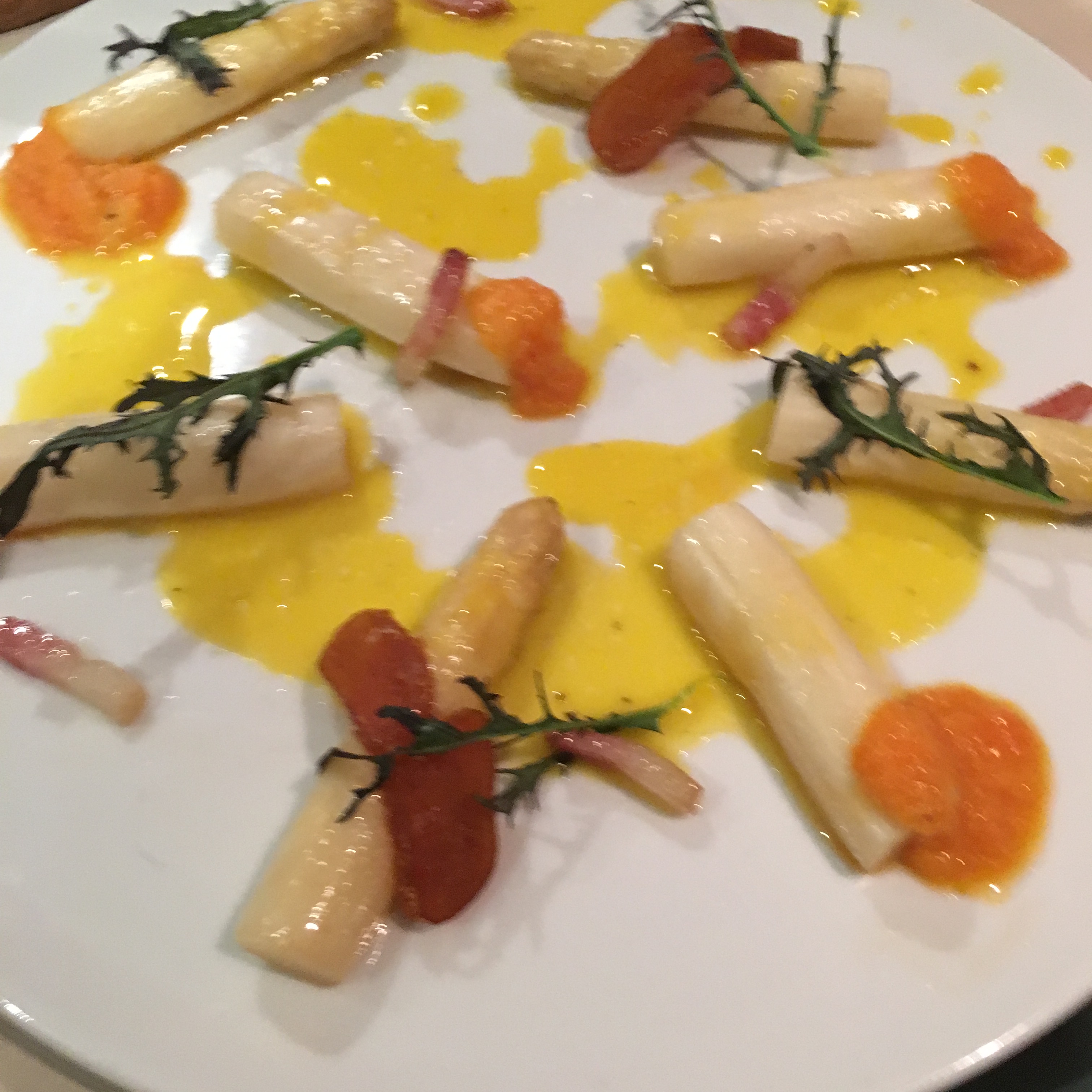 55765353_523894941472282_3759657059151249408_n