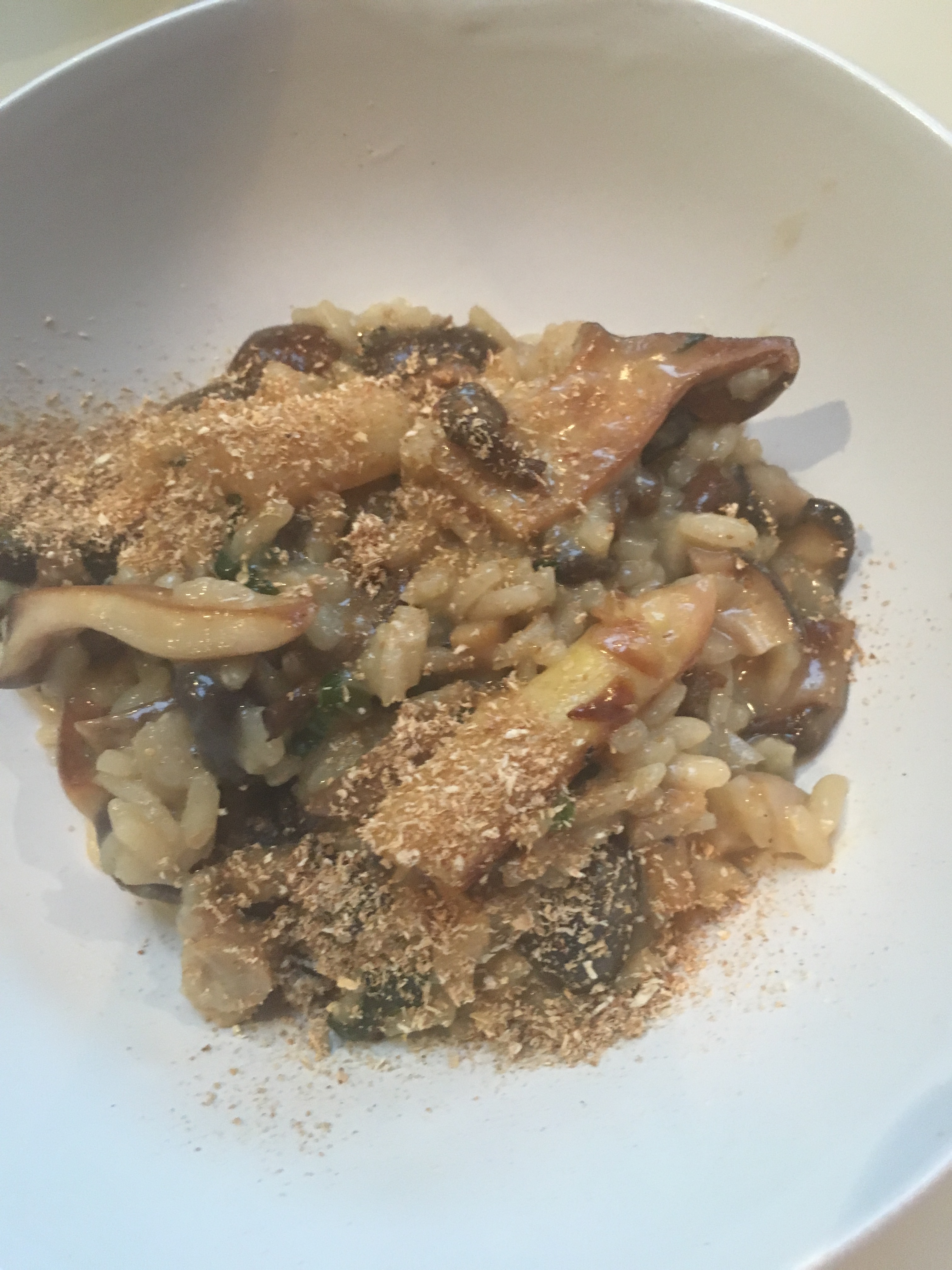 56510908_2350738595188542_9095324596311162880_n