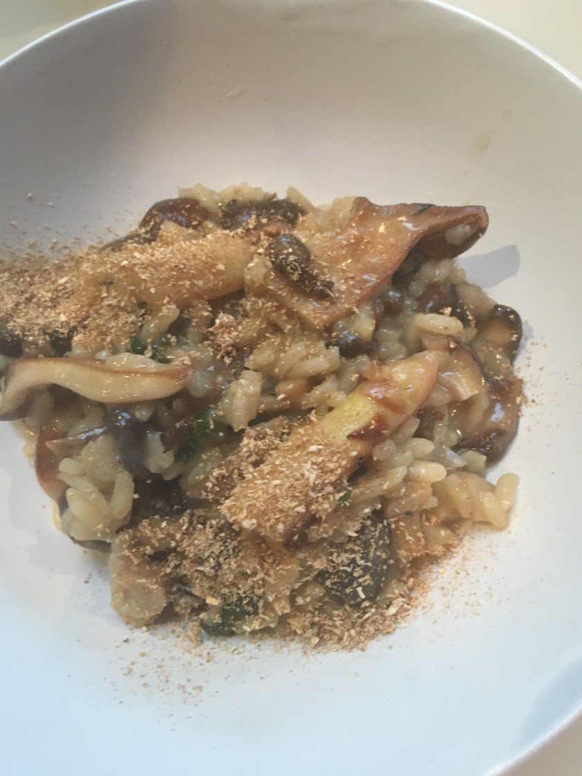 56510908_2350738595188542_9095324596311162880_n