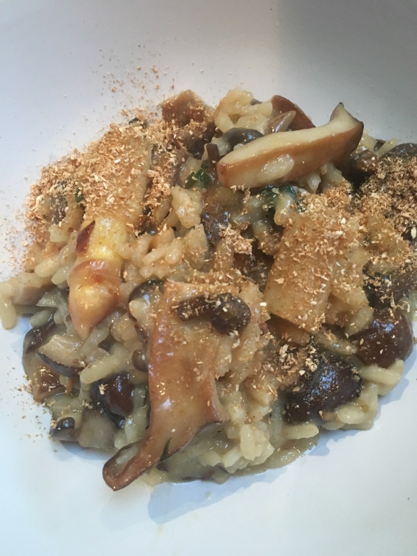 56624622_280351322866202_7112433904799186944_n