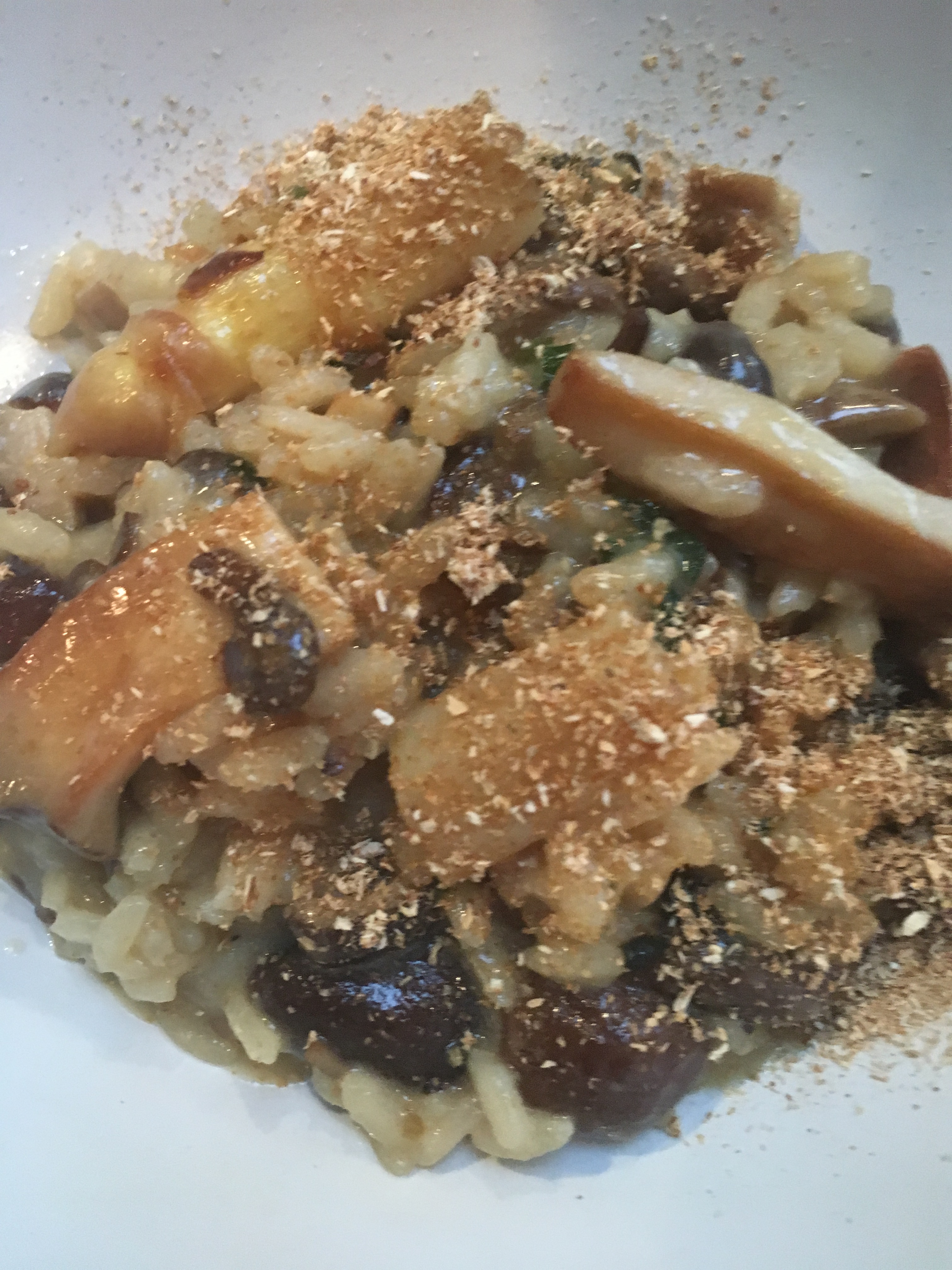 56734933_312625969384279_474490021013880832_n