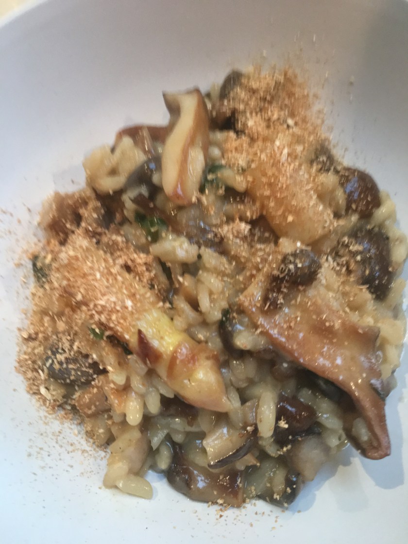 56770777_2237444013184057_8214618544126558208_n