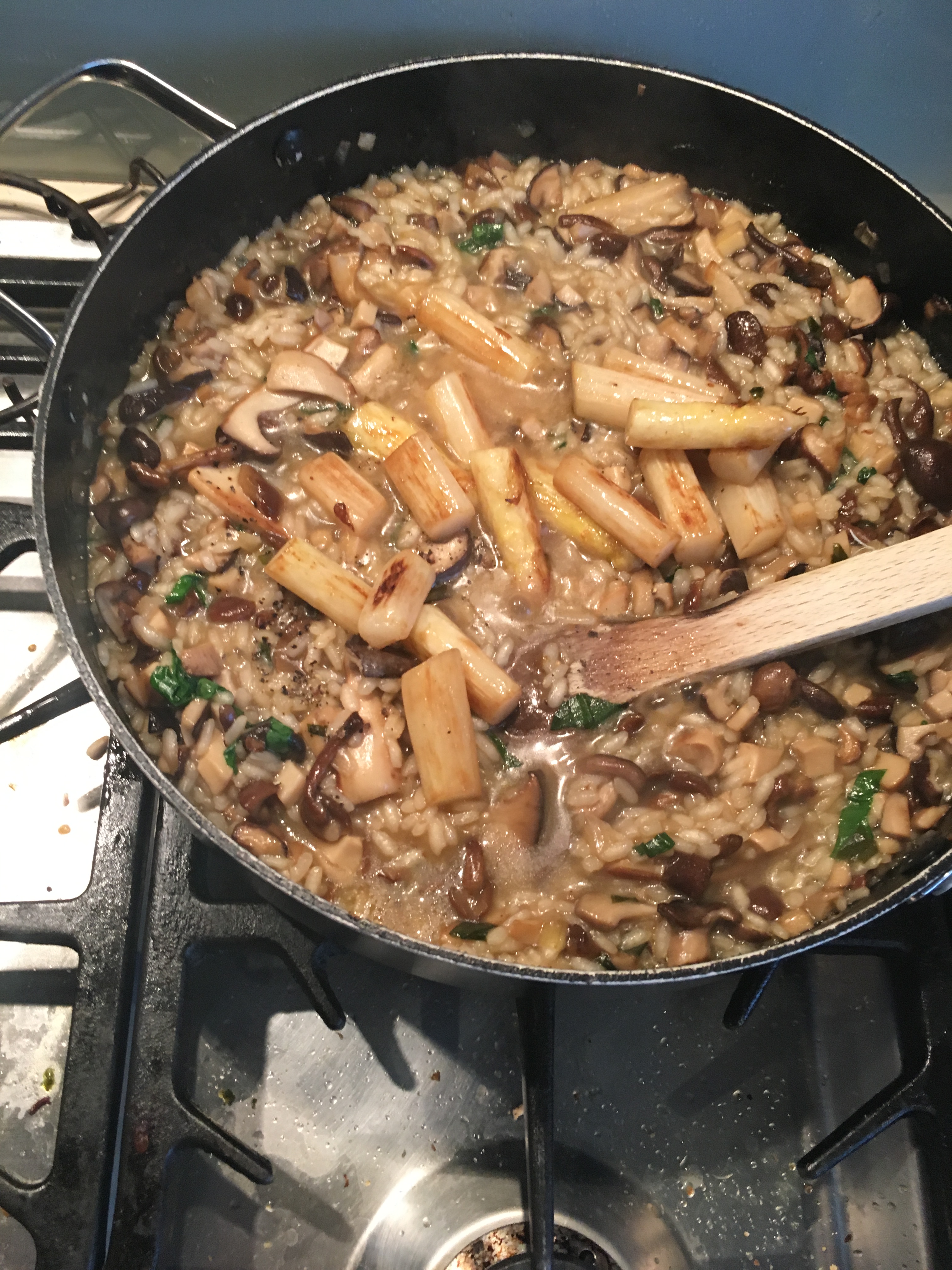 56819162_782869508735963_4477077774820966400_n