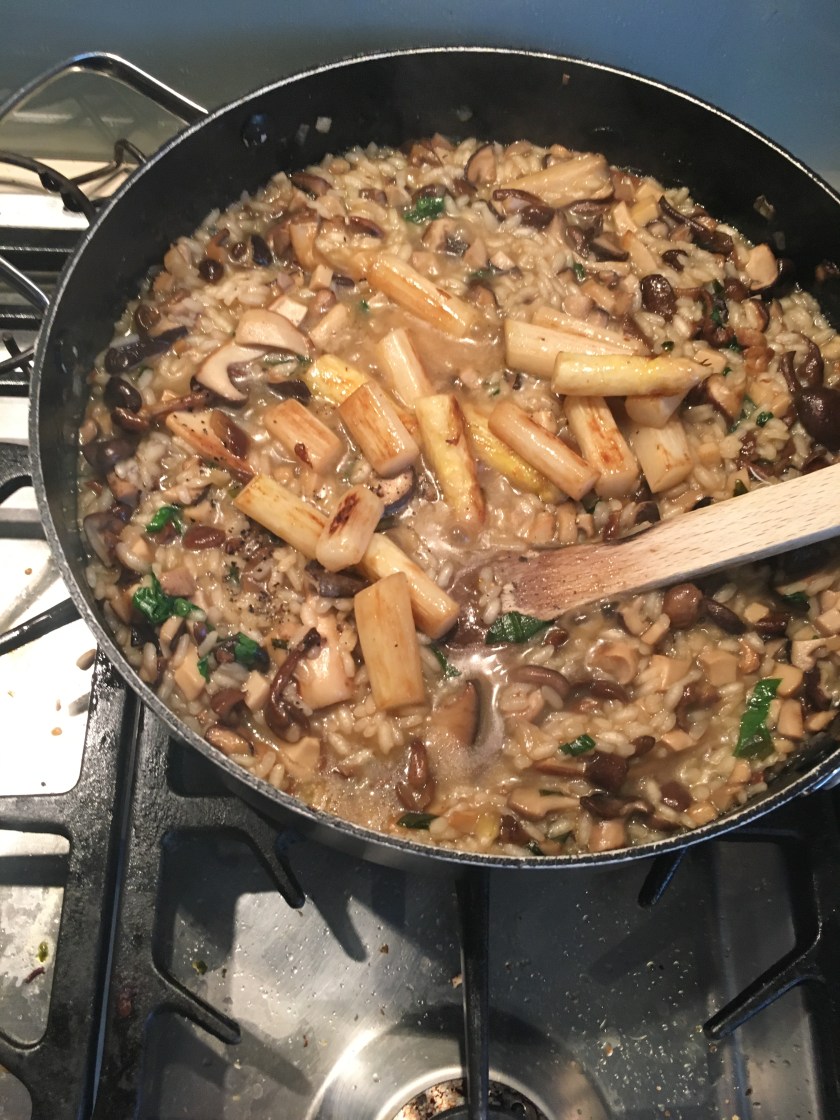 56819162_782869508735963_4477077774820966400_n