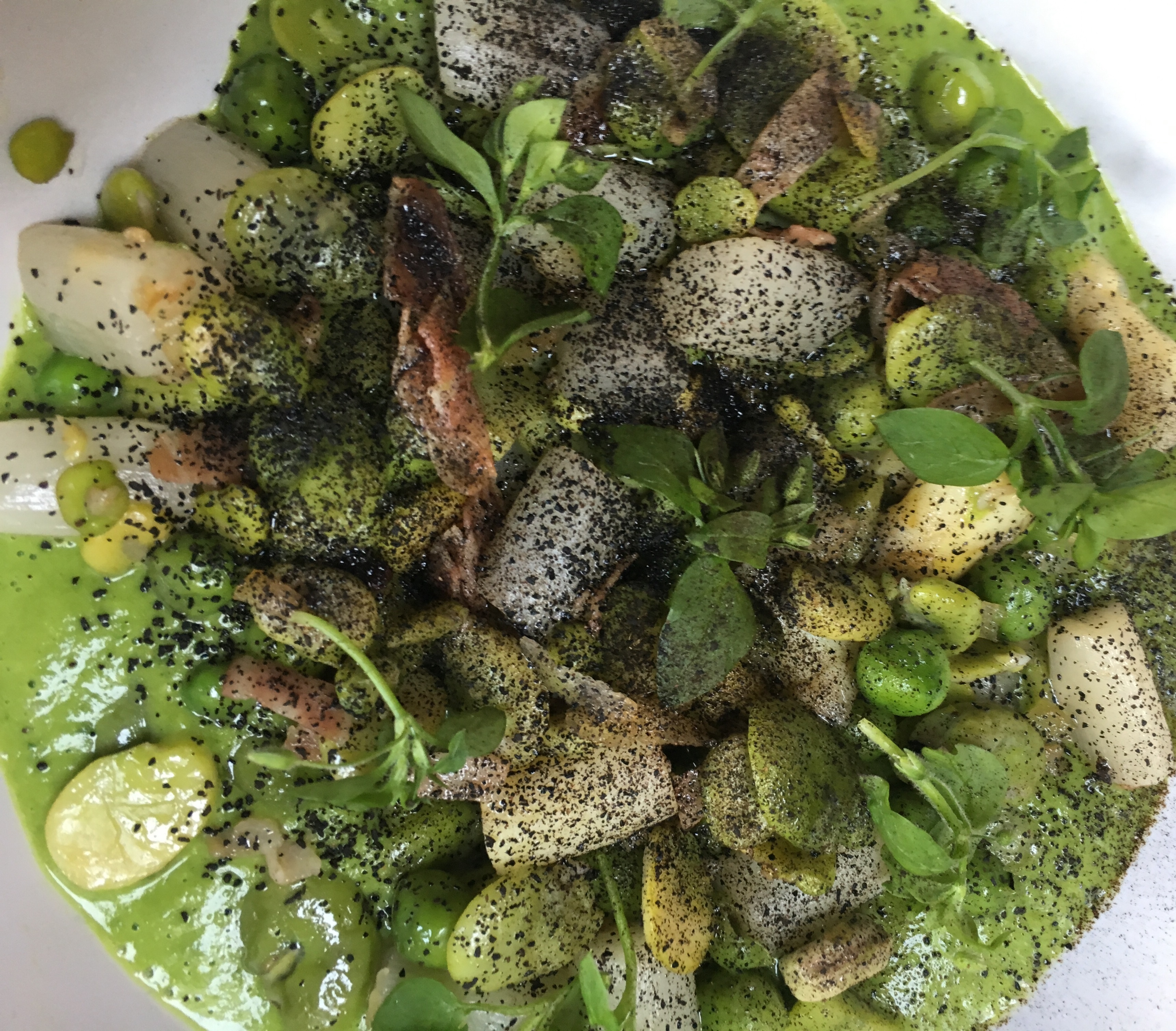 57618439_1365839330222435_2007644280255938560_n