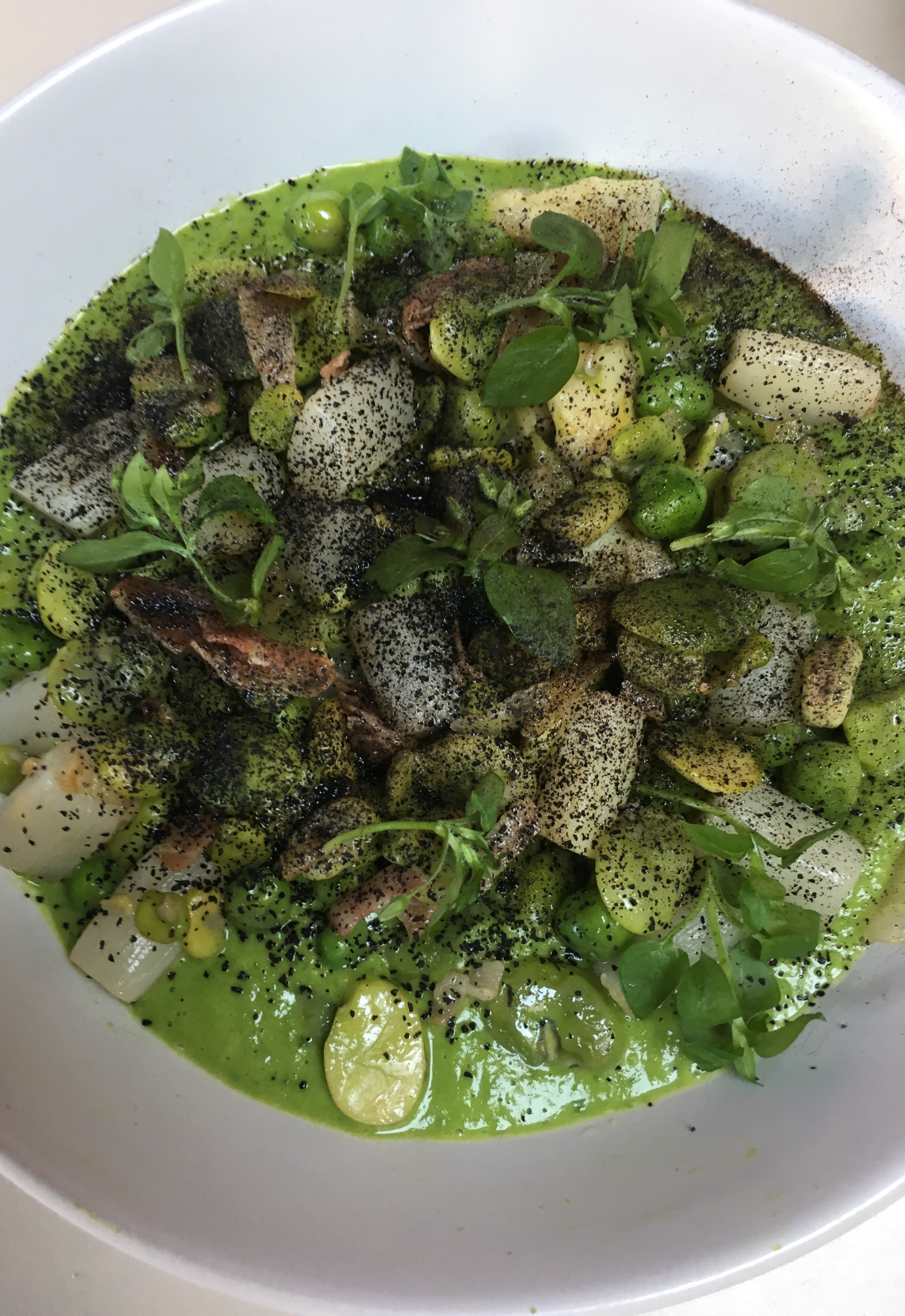 58461284_2090483967739730_8145563003379515392_n