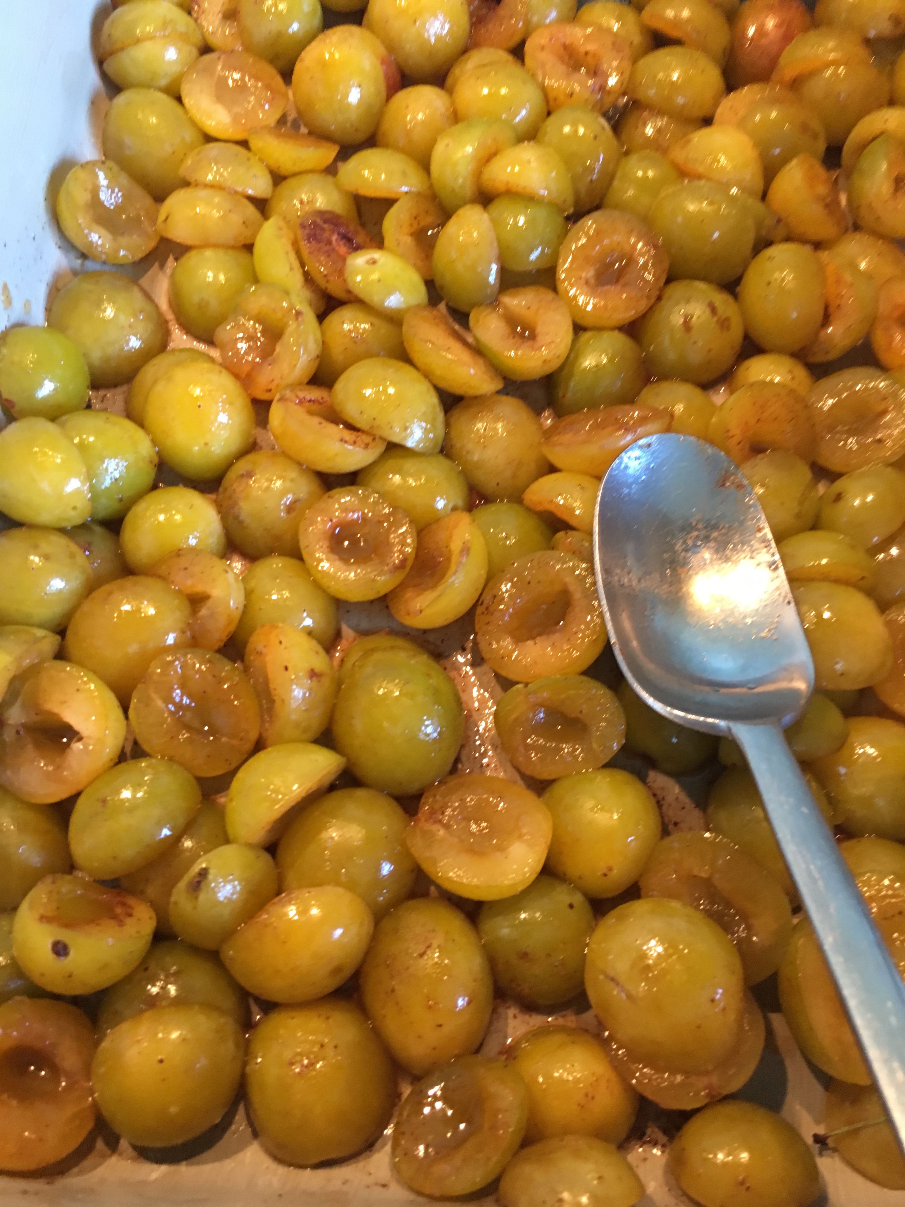 69814514_465581047628380_4609005855755468800_n