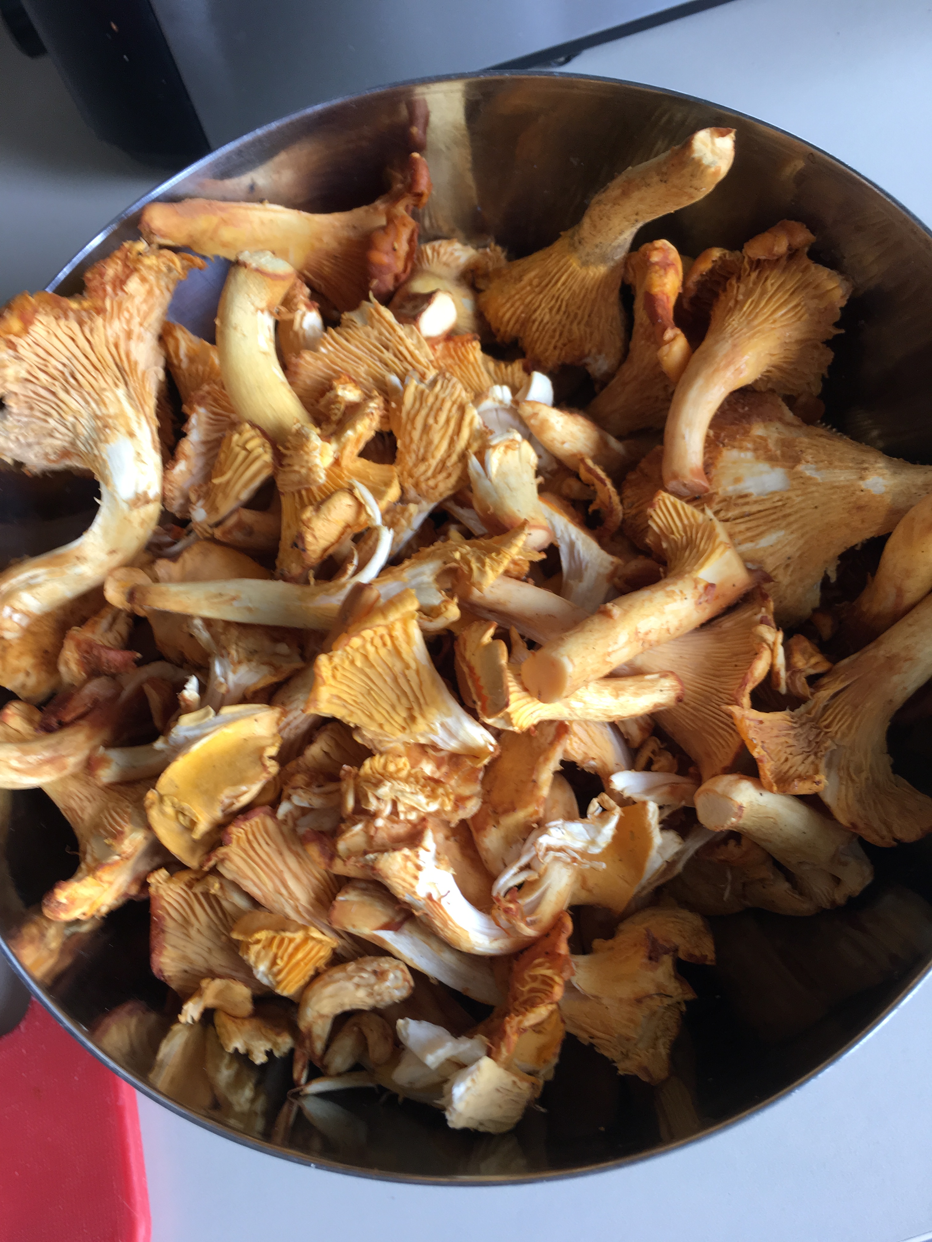 71313873_475270889731213_3744583725397049344_n