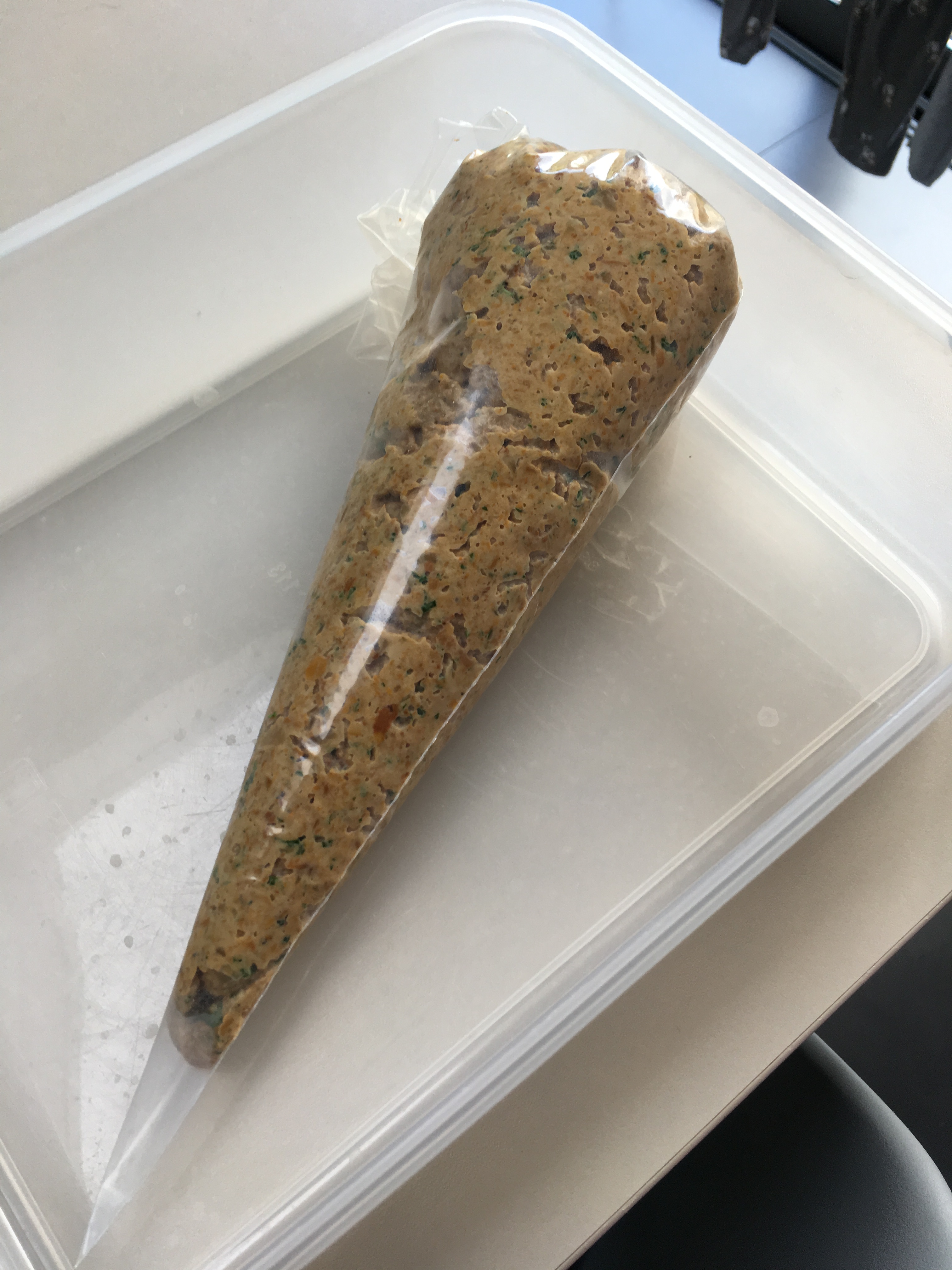 71572425_444096026455391_5223492079539191808_n