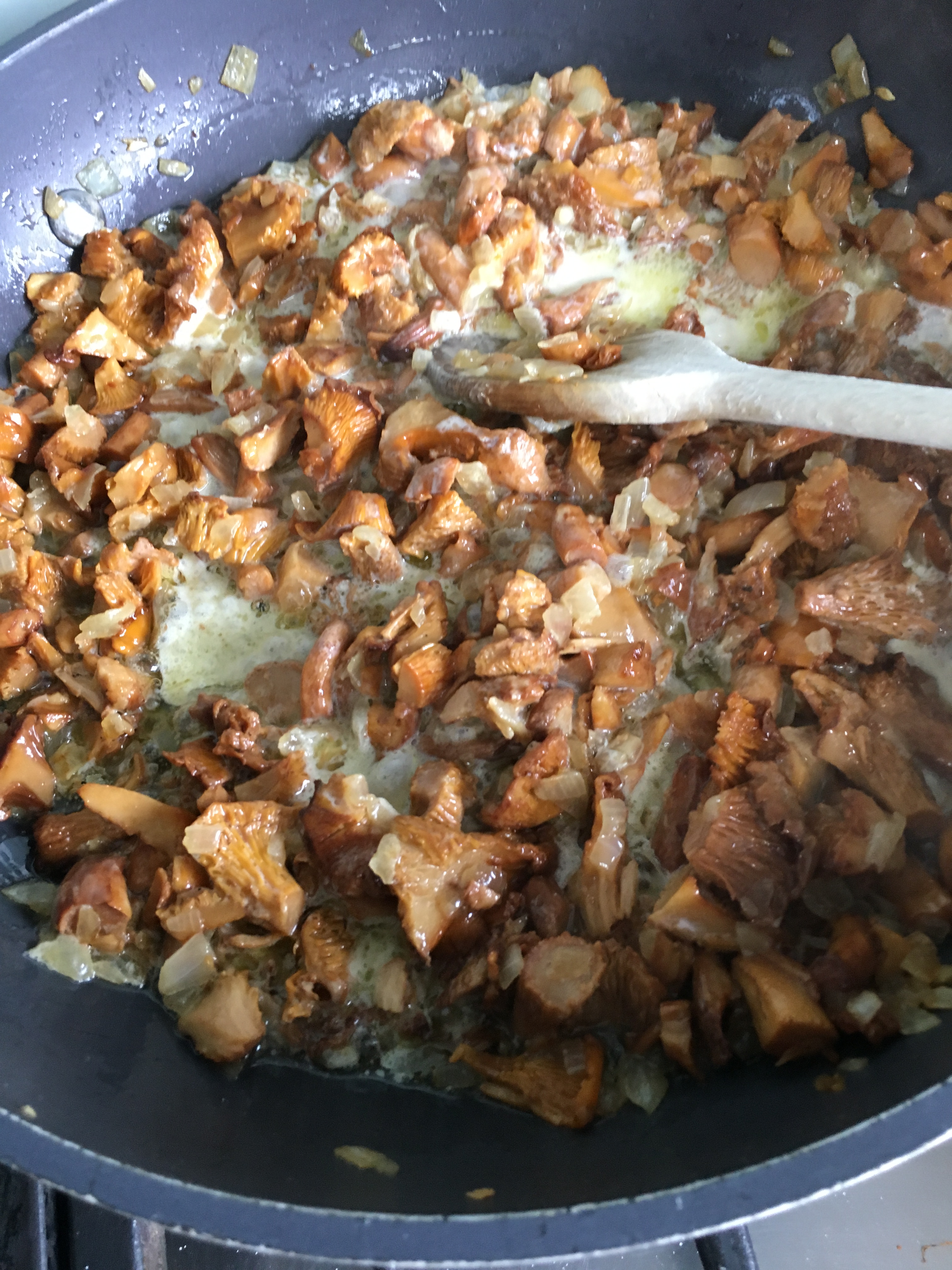 71594948_510170252896582_124102929694064640_n