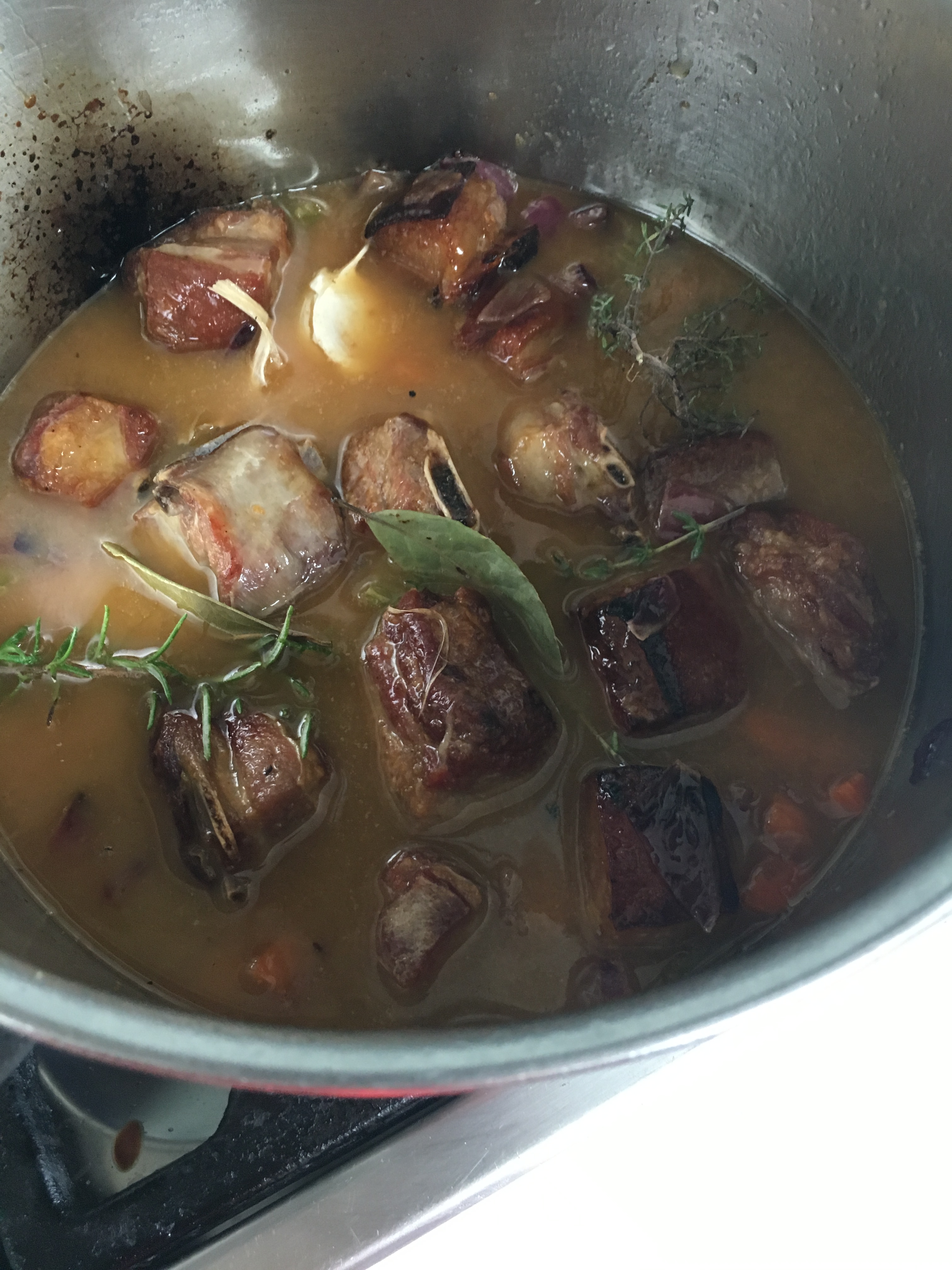 71851060_912418552457236_2319623501977223168_n