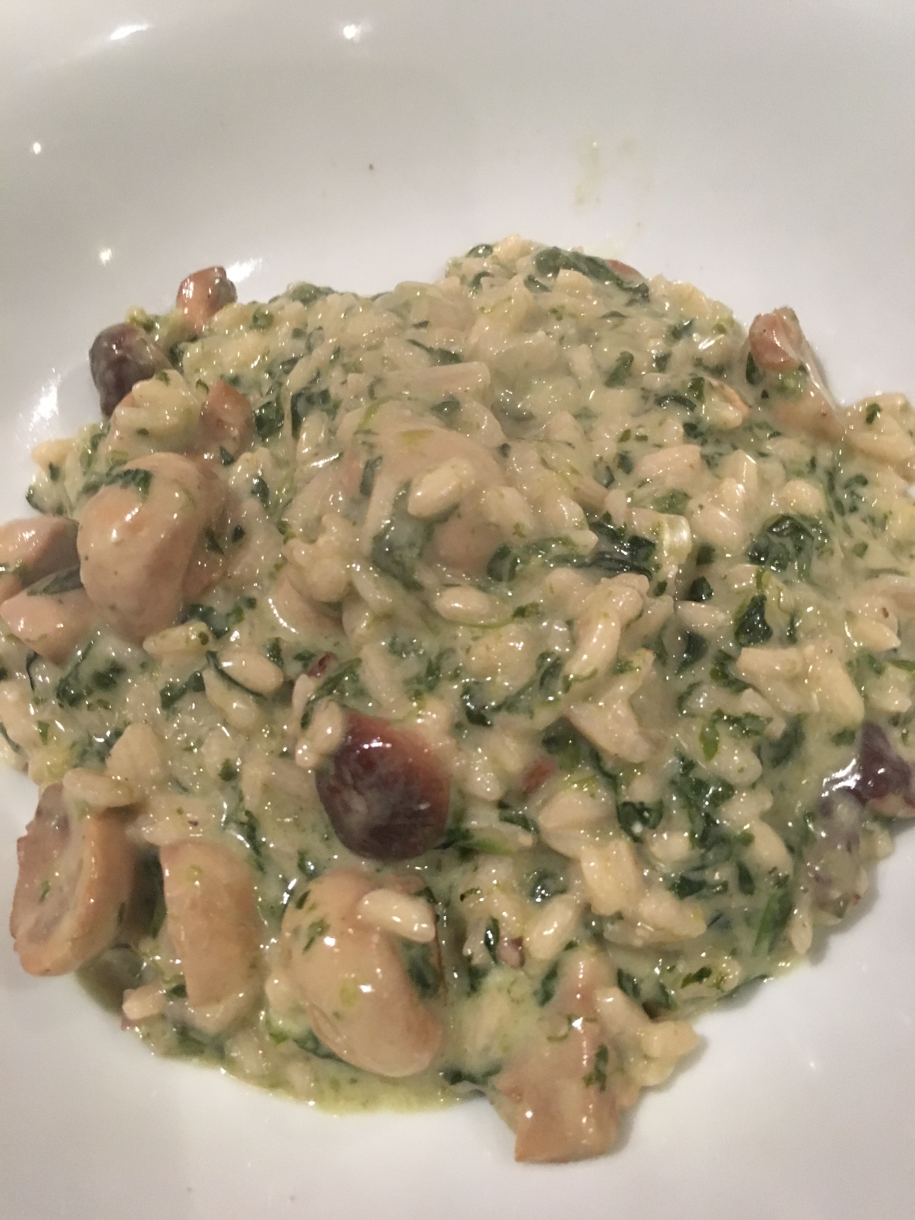 73528610_701207427067251_6289496038919110656_n