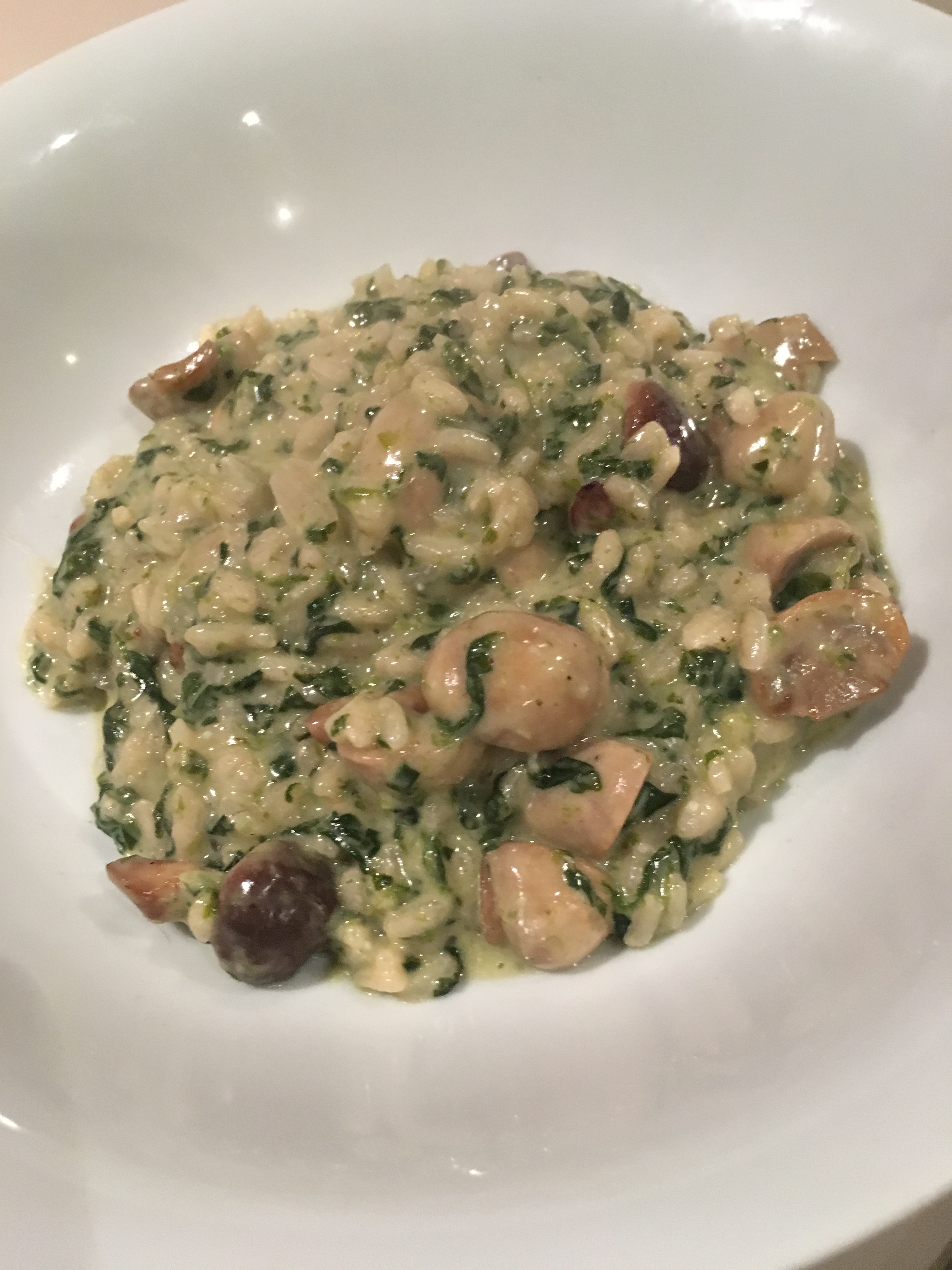 74471416_437939800199730_5786964425537748992_n