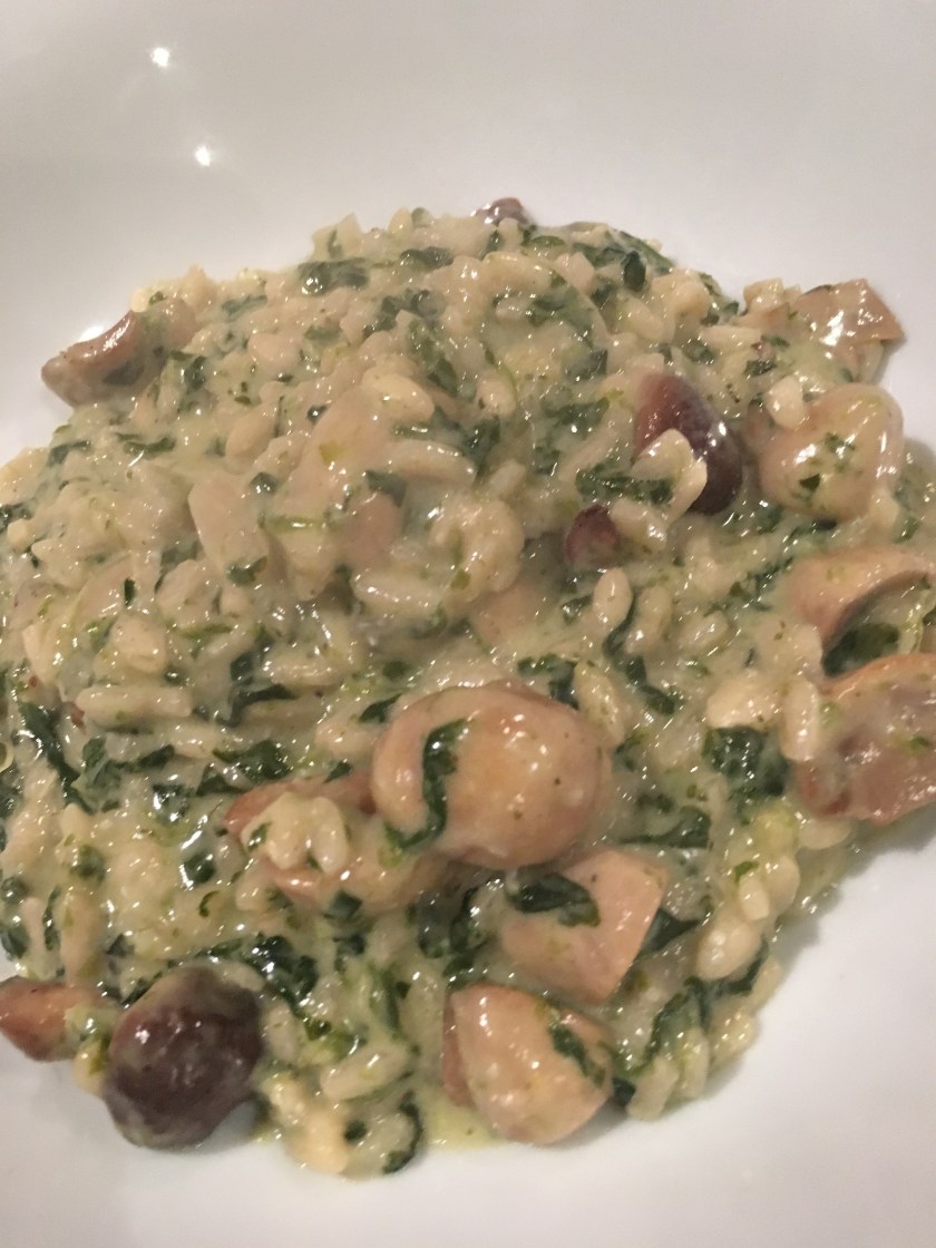 74604766_2645234668899892_6131396463097282560_n