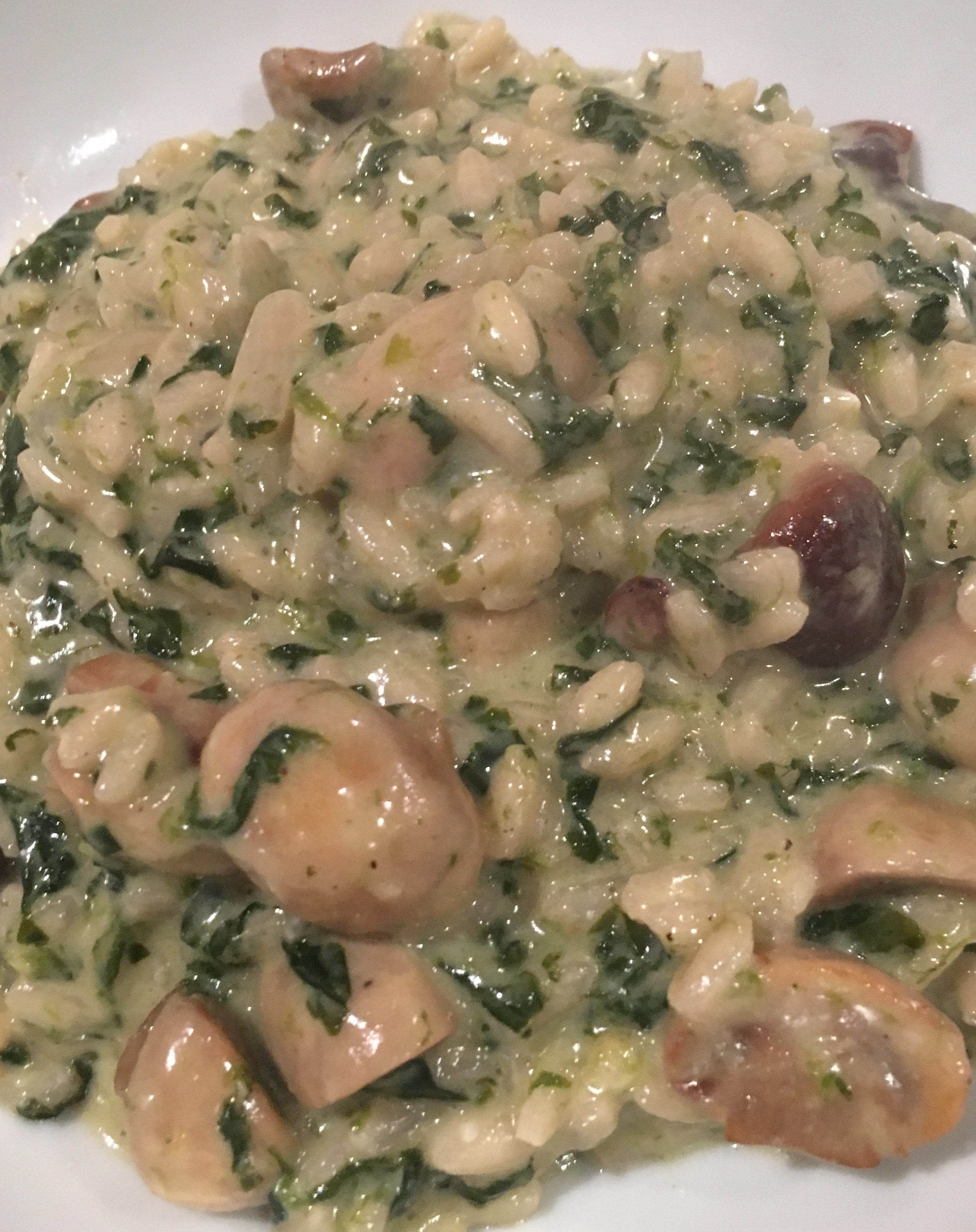 74930977_272640146949120_2132292490407968768_n