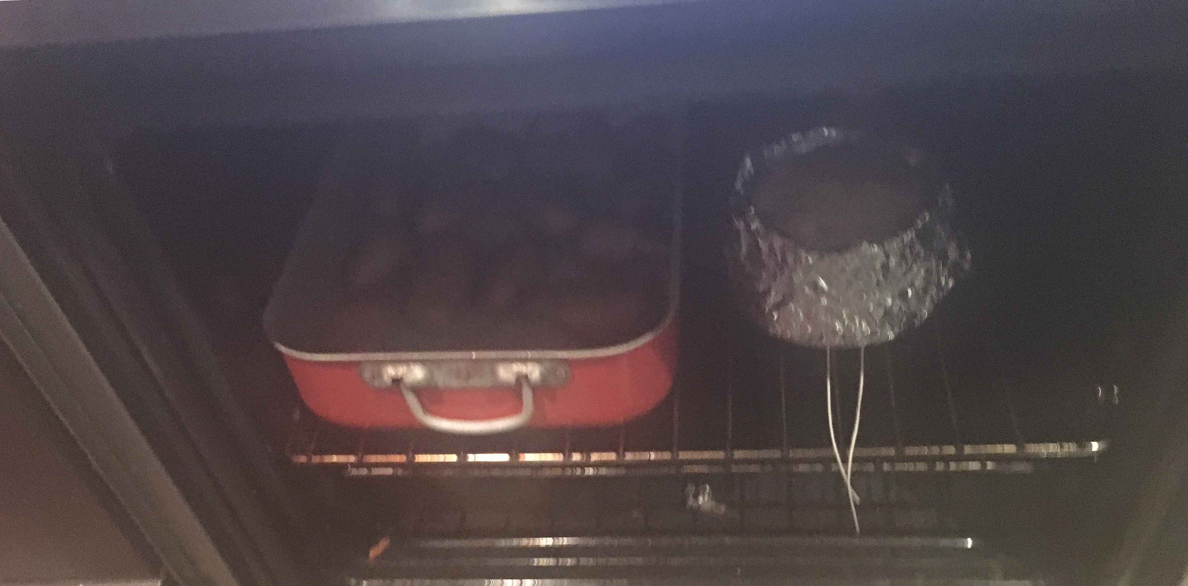 78253383_2597531667005003_7059884357162369024_n