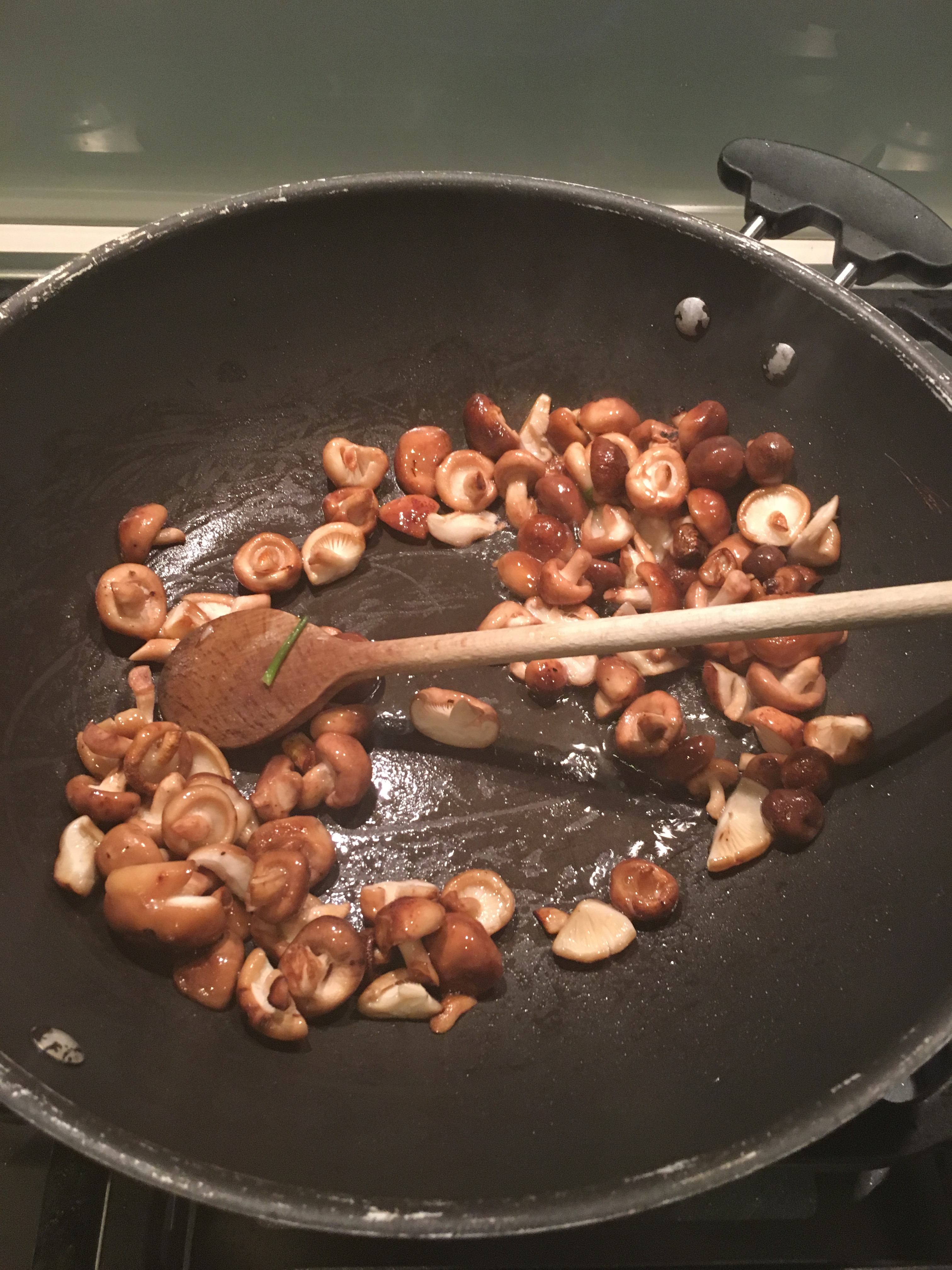 79150183_3406055536102889_2263546141217914880_n