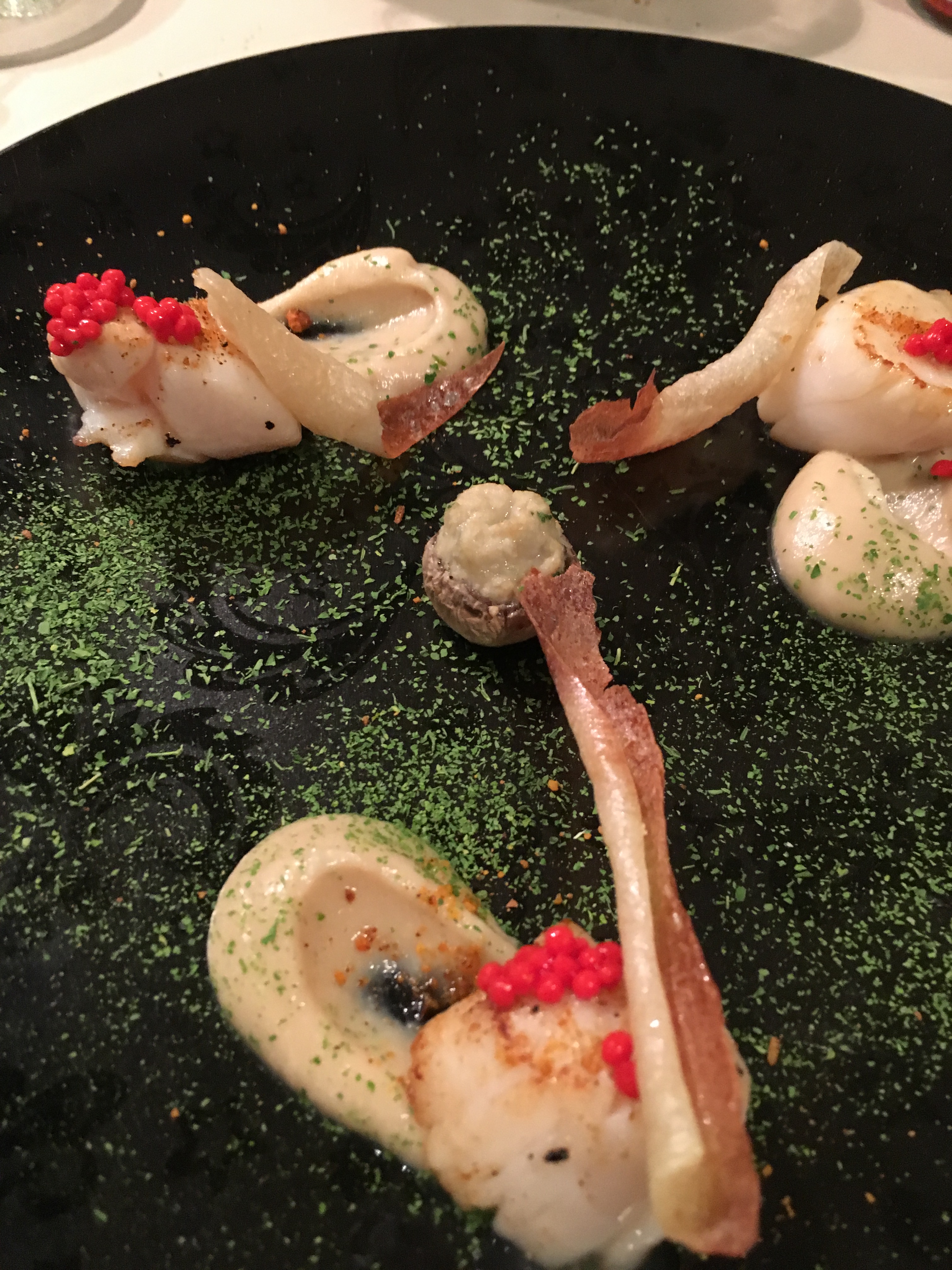 81109993_527179137886891_6278519554209480704_n