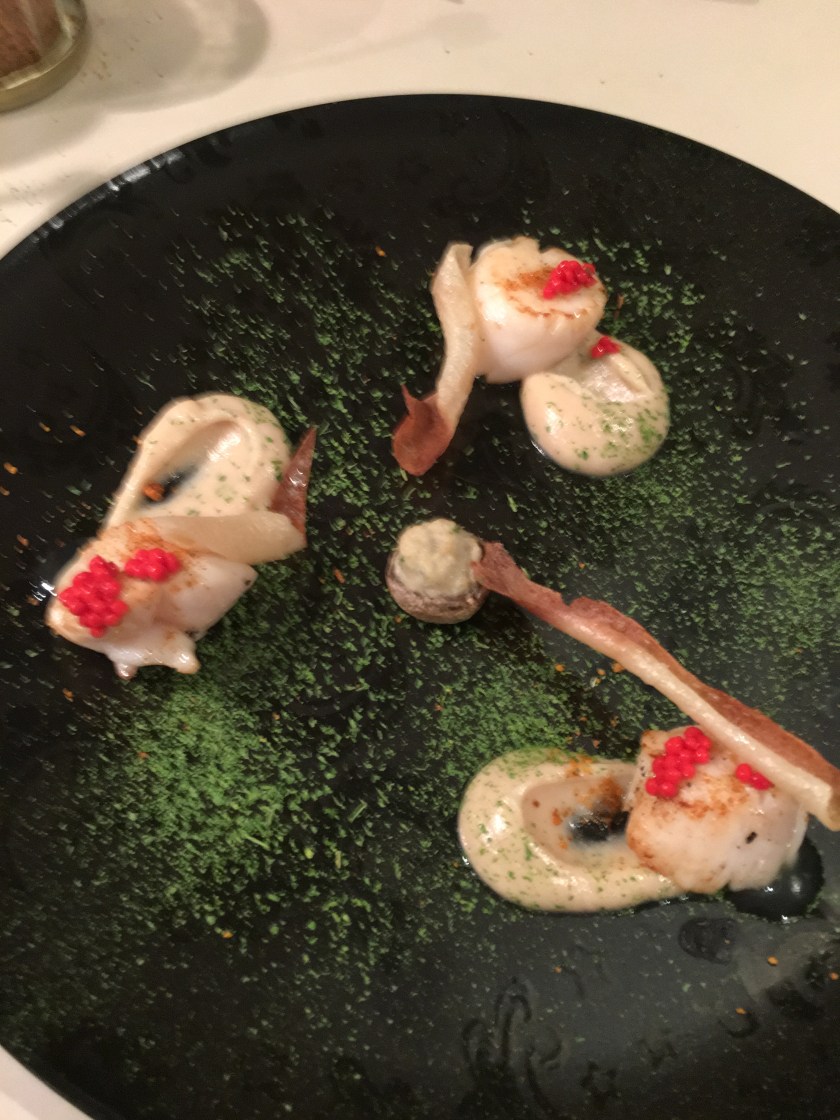 81586320_575236036356940_6598403203677552640_n