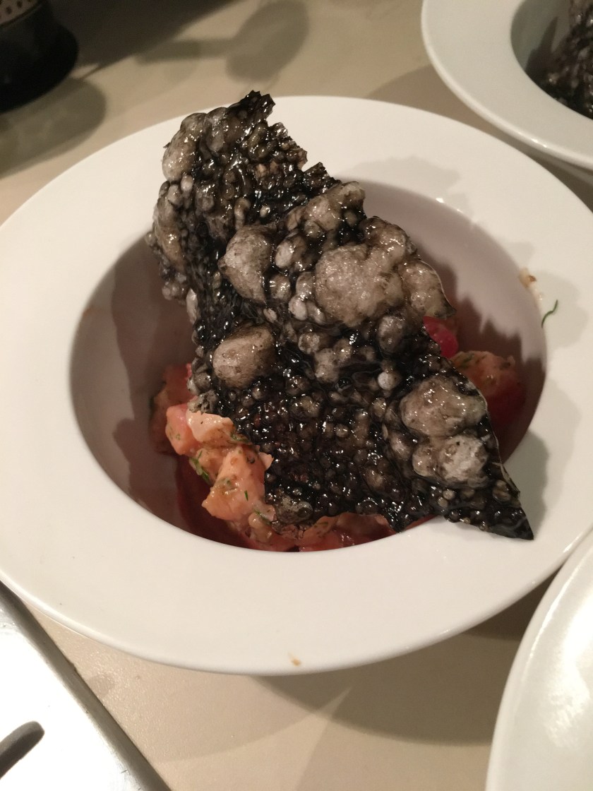 81624715_580926786022547_7049351297761280000_n