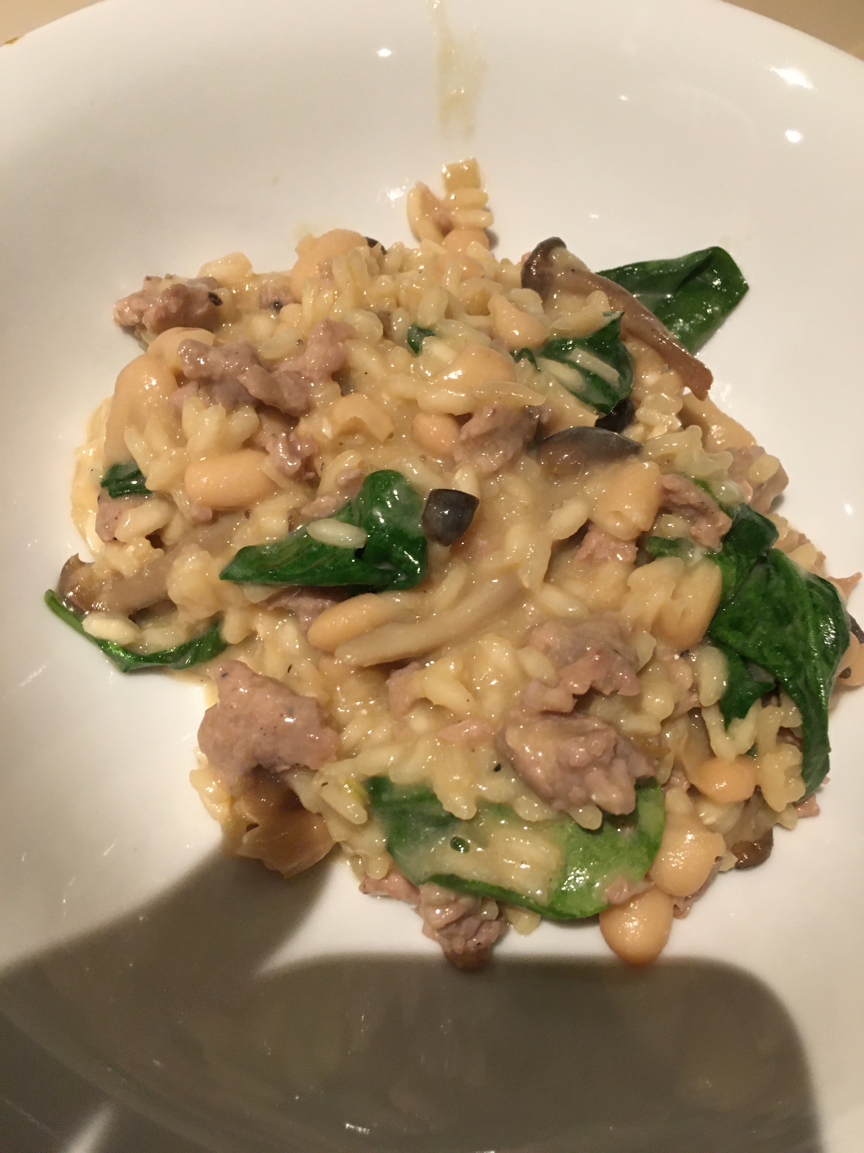 86350486_231774481177063_2951345601318486016_n