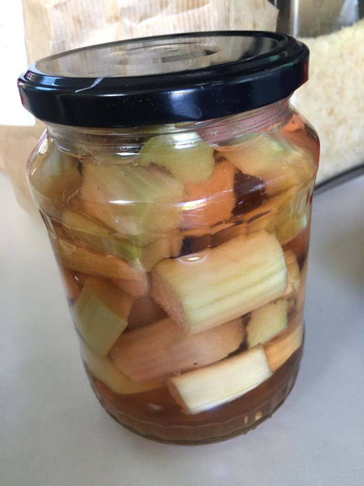 101457766_281451526342846_7776606251588255744_n