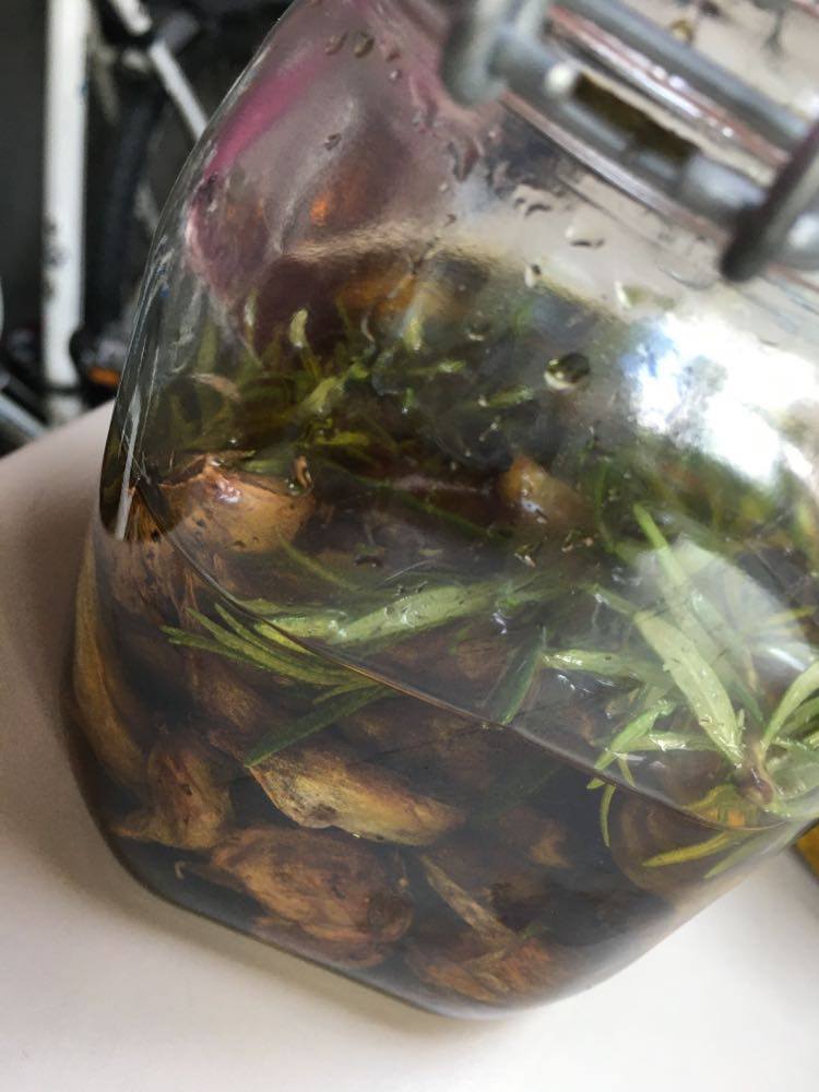 103148272_269240347466668_7369142285932992933_n