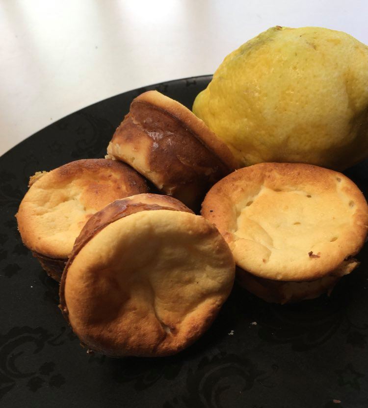 105492699_2687984258111086_7849088117524512002_n